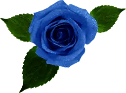 blue flower
